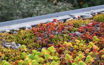 the cost of Burwardsley green roof installation