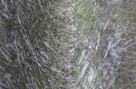 Burwardsley fibreglass roof work